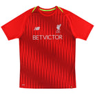 2018-19 Liverpool New Balance Training Shirt L Training Shirt